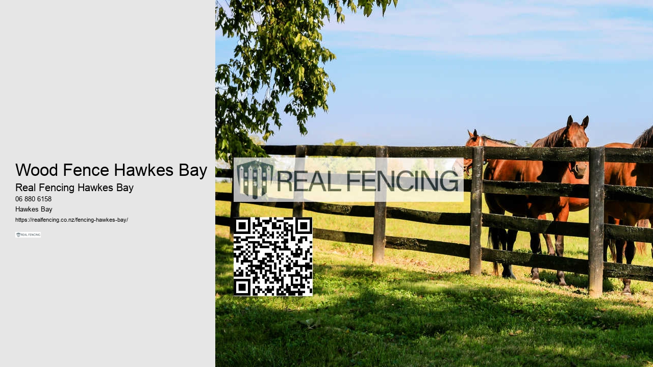 Hidden Dog Fences Hawkes Bay